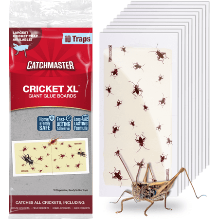 Catchmaster Cricket XL Giant Glue Traps 10-Pk, Bug Catcher Sticky Traps for Inside Home