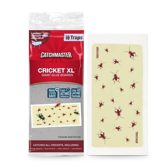 Catchmaster Cricket XL Giant Glue Traps - Indoor Adhesive Bug Catcher Boards - 10 Count