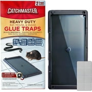 MAPPERZ Rat Trap/Mouse Trap Rat Pads Glue pad Rat Cacther for  Home/Office-22x15.5x0.5cm(Pack of 10)