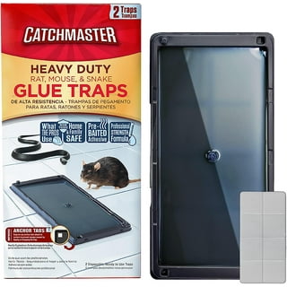 Mouse Guard 12 Pack Ready-to-Use Odorless Mouse Glue Traps for