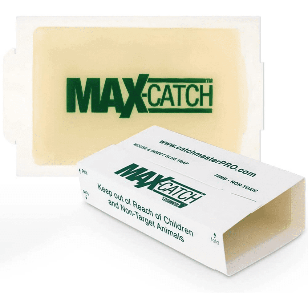 https://i5.walmartimages.com/seo/Catchmaster-MAX-Catch-36-Ct-Glue-Traps-for-Rodents-and-Insects-Non-Toxic_3a7c199d-3d6d-4e69-ae18-1f91d68de626.5b561a5f5de3c31655df6a84d61a35b9.png
