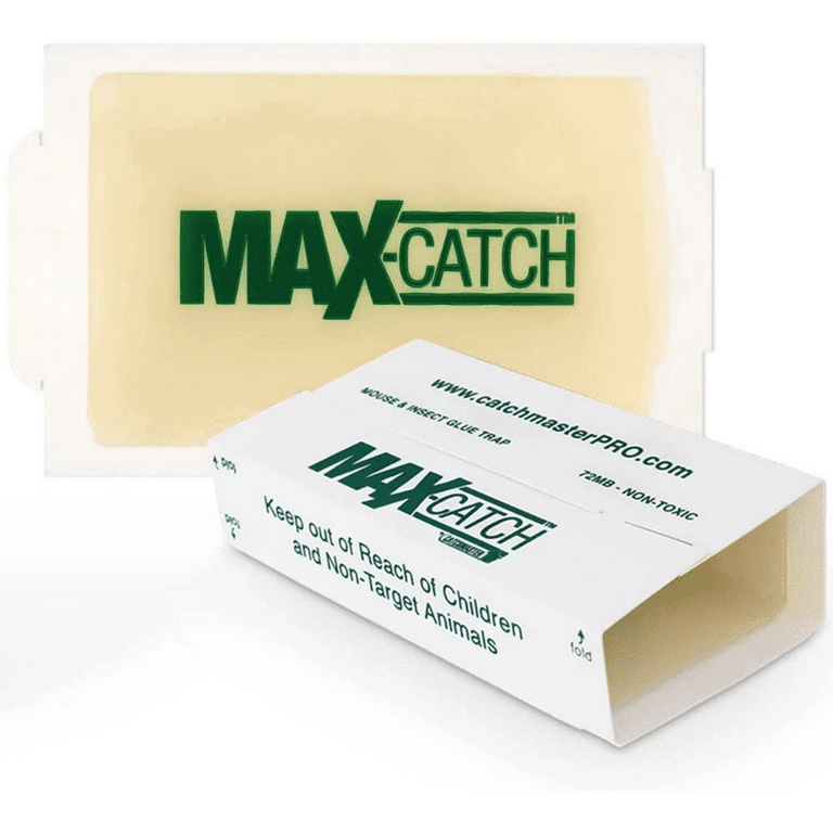 Catchmaster Mouse Insect Spider Glue Traps ( 12 Pack ) Mice