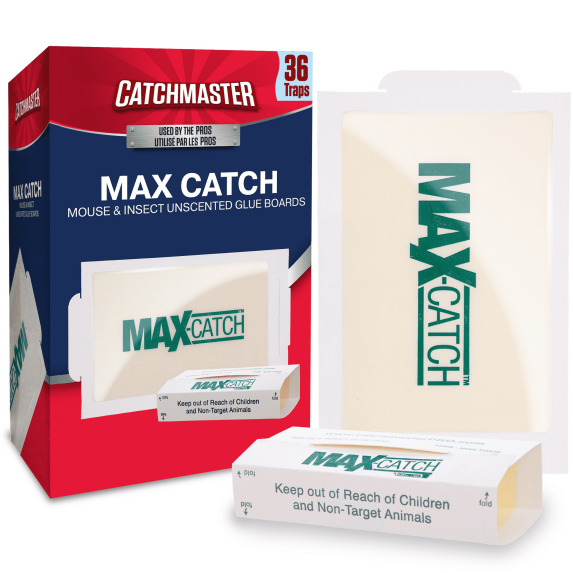 Catchmaster Max-Catch Insect & Mouse Trap 36pk, Unscented Sticky Traps, Pest Control Indoor