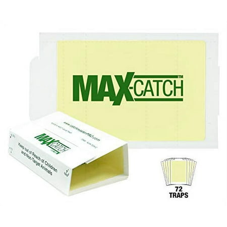 Catchmaster Max Catch Indoor Rat TrapGlue Board, 72 Count