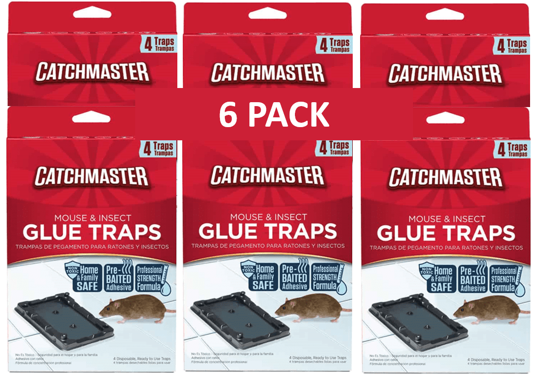 Catchmaster Mouse & Insect Glue Board Traps, 4 Ct PACK of 6