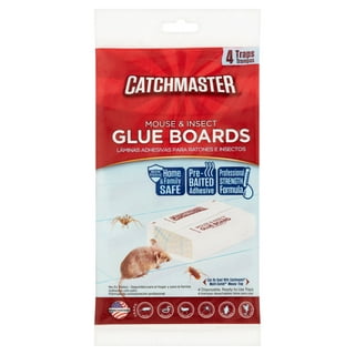 https://i5.walmartimages.com/seo/Catchmaster-Mouse-and-Insect-Glue-Board-Traps-4-Counts-Pre-baited-and-Ready-to-Use-Indoors-Safe-non-toxic-and-Easy-to-Use_38be4098-3311-4f74-b9a9-532a74b14d7b_1.316f70812fab750f7769fbc04cff6cf3.jpeg?odnHeight=320&odnWidth=320&odnBg=FFFFFF