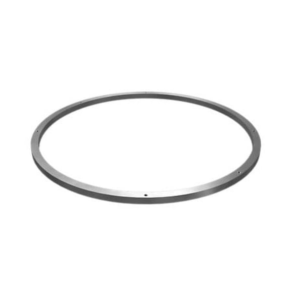 Caterpillar Ring (1t0310)