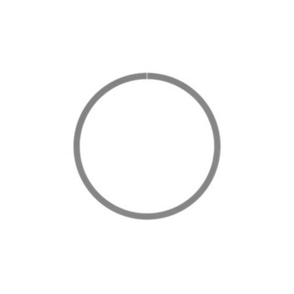 Caterpillar Ring (5l8855)