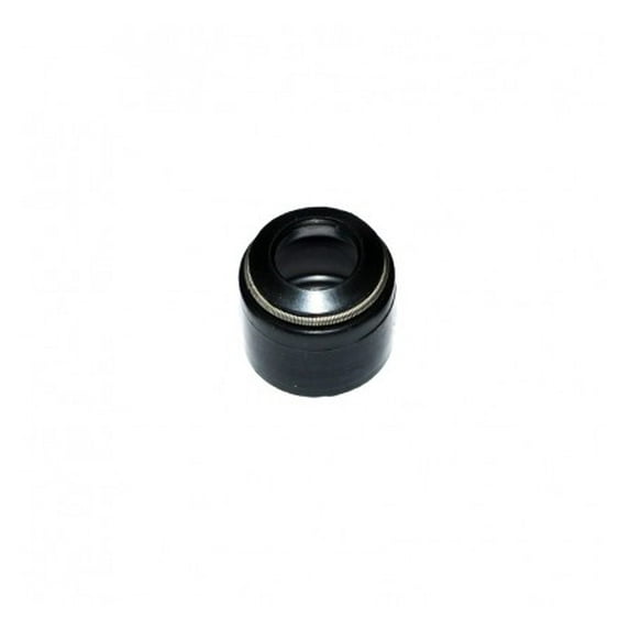 Caterpillar Seal (1w5849)