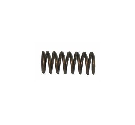 Caterpillar Spring (3k5733) - Walmart.com