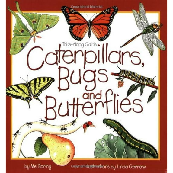 Pre-Owned Caterpillars, Bugs and Butterflies (Paperback) 1559716746 9781559716741