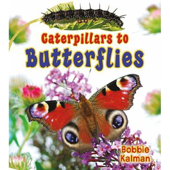 Pre-Owned Caterpillars to Butterflies (Paperback) 0778739740 9780778739746