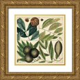 thumbnail image 1 of Catesby, Mark 12x12 Gold Ornate Wood Framed with Double Matting Museum Art Print Titled - Catesby Leaf Quadrant IV, 1 of 4