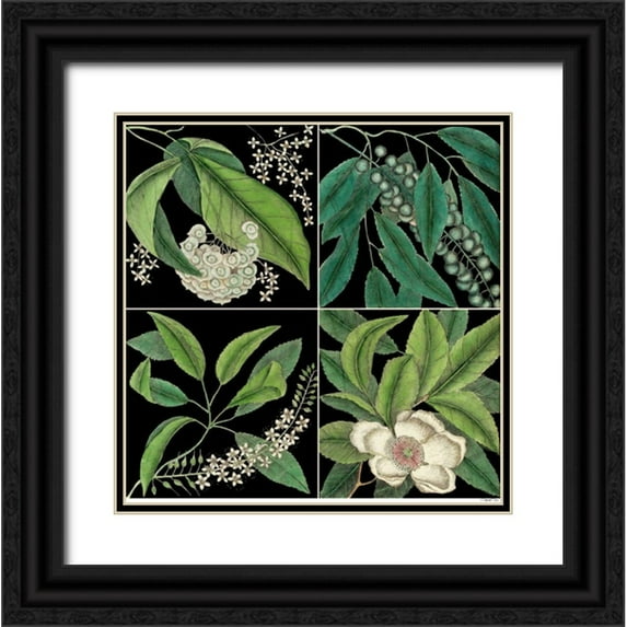 Catesby, Mark 15x15 Black Ornate Wood Framed with Double Matting Museum Art Print Titled - Graphic Botanical Grid I