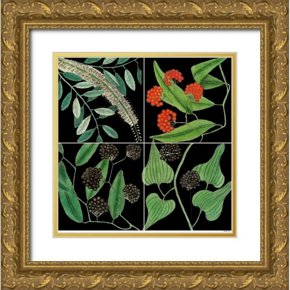 Catesby, Mark 20x20 Gold Ornate Wood Framed with Double Matting Museum Art Print Titled - Graphic Botanical Grid IV