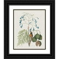 thumbnail image 1 of Catesby, Mark 20x24 Black Ornate Wood Framed with Double Matting Museum Art Print Titled - Studies in Nature II, 1 of 4
