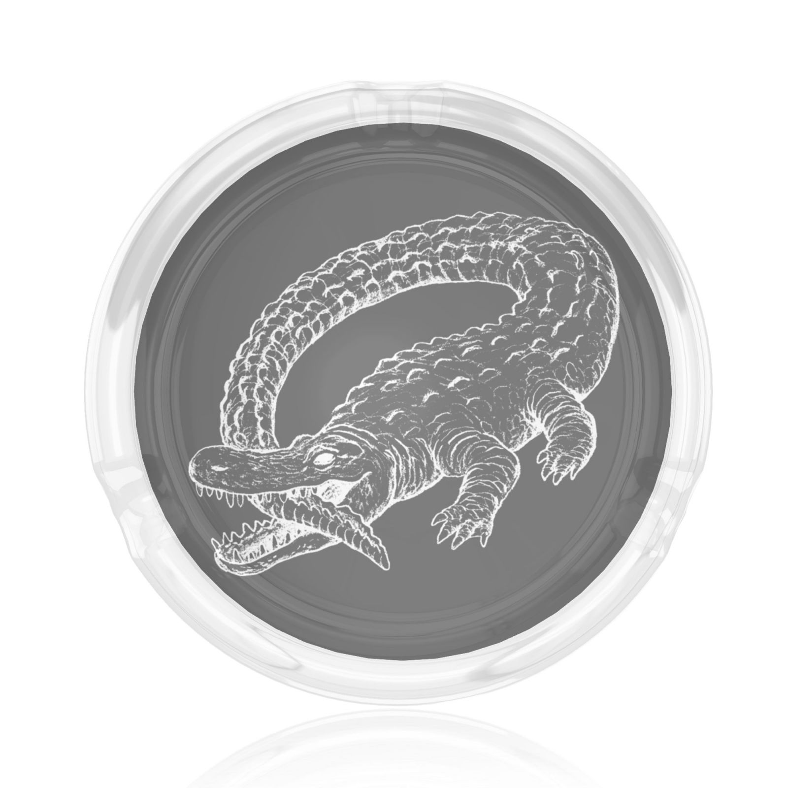 Catfish And The Bottlemen Round Glass Ashtray 3d Printing For Indoor