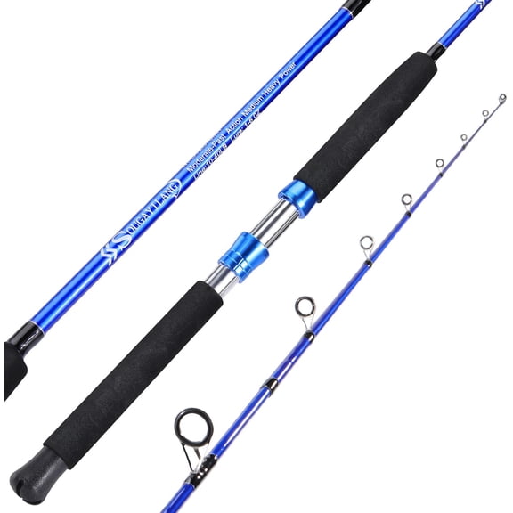 Catfish Fishing Rod, 2 Piece Catfishing Fishing Pole Portable Travel MH/H/EH Power Catfishing Spinning & Casting Rod (7'/8'/9')