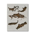 thumbnail image 1 of Catfish Fishing Stencil Template Reusable 8.5 x 11 for Painting on Walls, Wood, Etc. By Stencilville, 1 of 2
