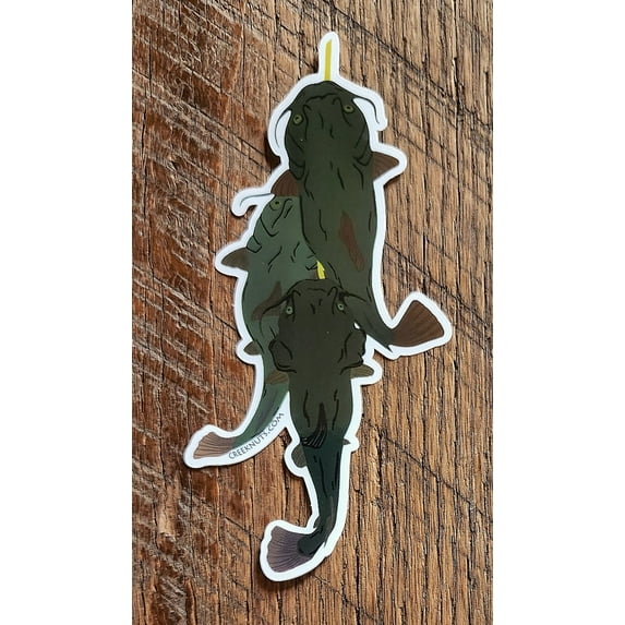 Catfish Stringer Sticker Decal