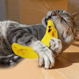 Cosmic banana cat toy hotsell