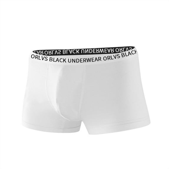 Cathalem Mens Brief Breathable Mens Underwear Boxer Briefs Boxer Briefs Breathable men’s Underwear Low Rise(White,L)