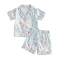 thumbnail image 1 of Cathalem Toddler Girl Pajamas Silk Stain Pjs Cake Balloons Button Down Shirt Sleepwear Set Kids Girls Nightgown Blue 4-5 Years, 1 of 3