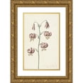 thumbnail image 1 of Catharina Lintheimer 13x18 Gold Ornate Wood Frame and Double Matted Museum Art Print Titled - Twig with Red -Brown Lilies (1725), 1 of 4