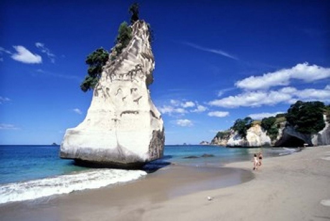 Cathedral Cove Coromandel Peninsula Canvas Art - David Wall DanitaDelimont (17 x 11)