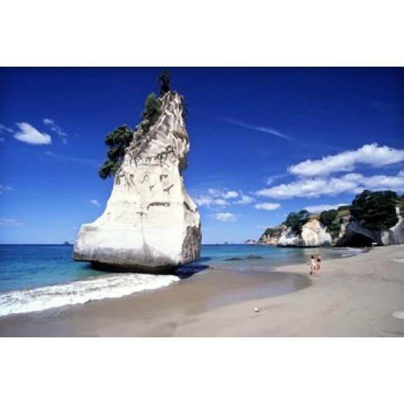 Cathedral Cove Coromandel Peninsula Canvas Art - David Wall DanitaDelimont (17 x 11)