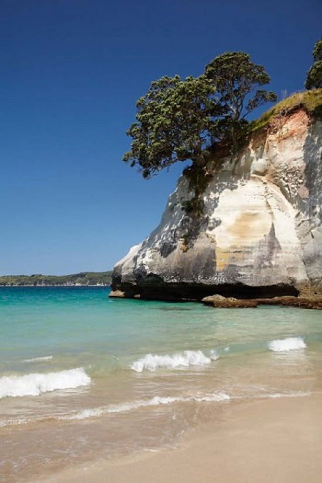 Cathedral Cove Coromandel Peninsula North Island New Zealand Canvas Art - David Wall DanitaDelimont (25 x 38)