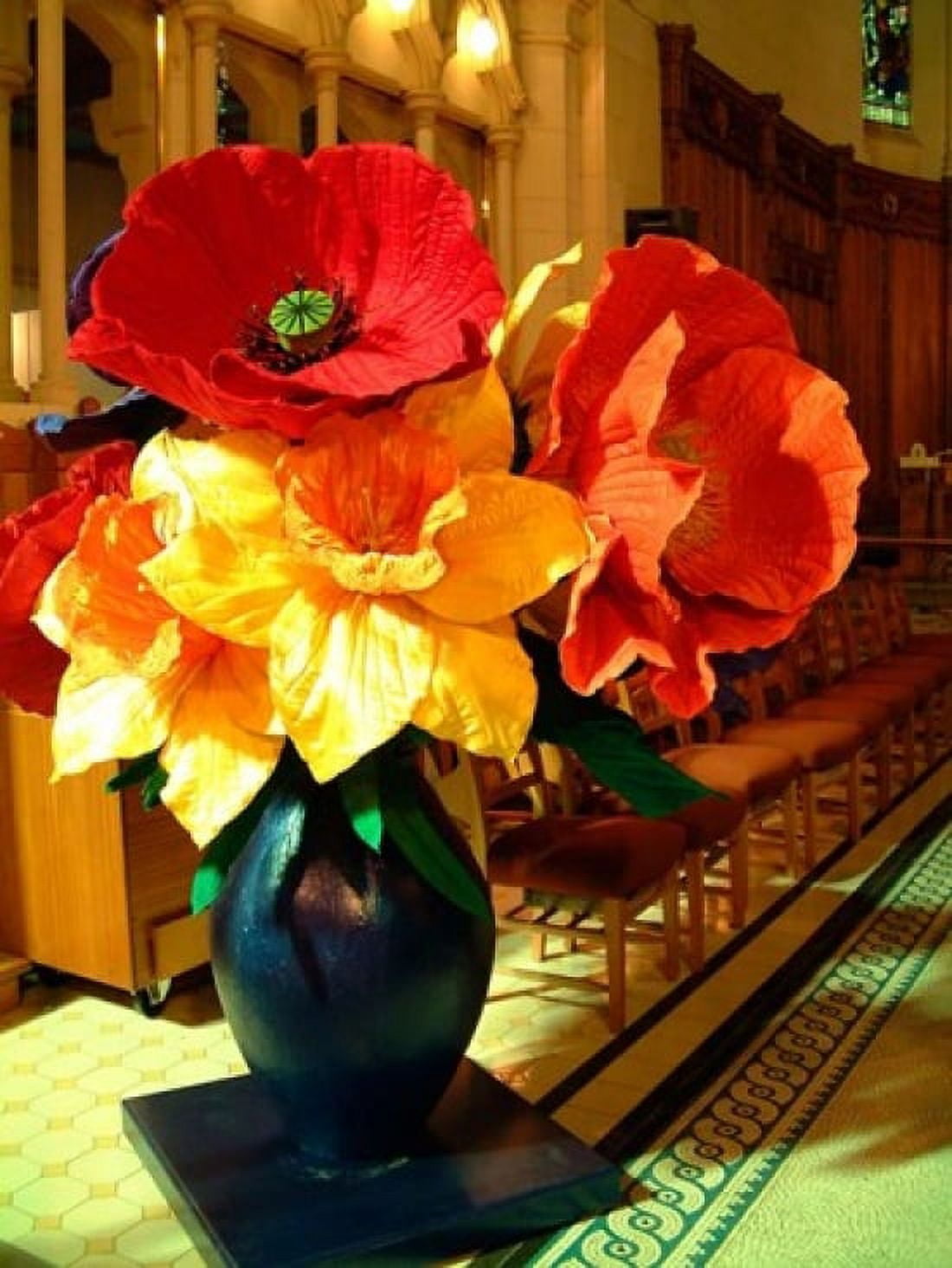 Cathedral Flower Display Christchurch New Zealand Canvas Art - William Sutton DanitaDelimont (24 x 36)