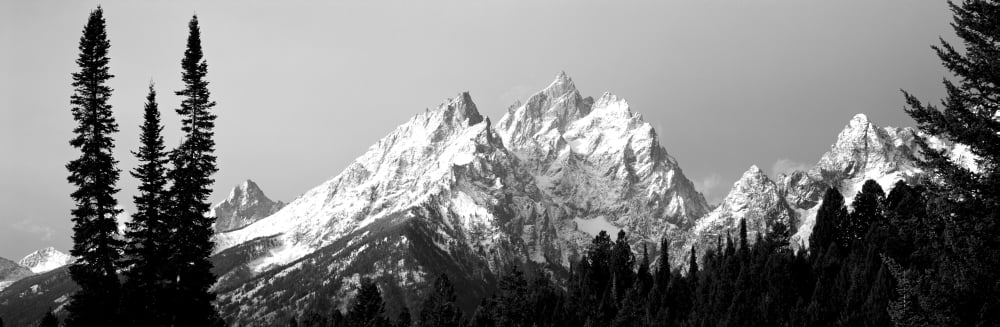 Cathedral Group Grand Teton National Park WY Canvas Art - Panoramic Images (12 x 36)