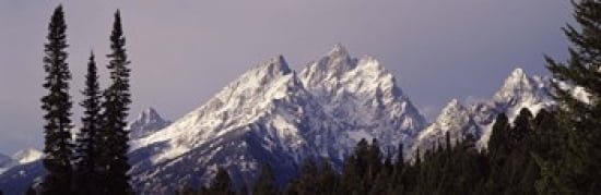 Cathedral Group Grand Teton National Park WY Canvas Art - Panoramic Images (36 x 12)