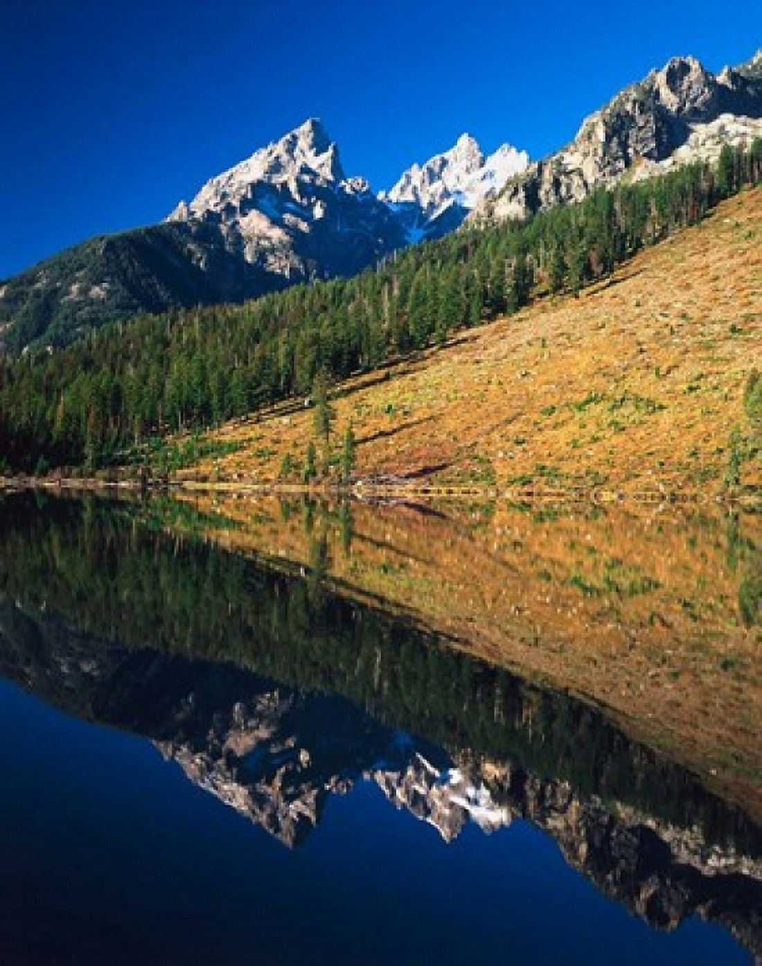 Cathedral group reflecting in String Lake Grand Teton National Park Wyoming Canvas Art - Adam Jones DanitaDelimont (27 x 34)