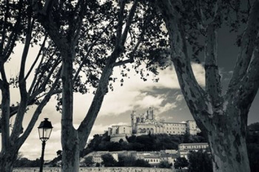 Cathedral in a town Cathedrale Saint-Nazaire Beziers Herault Languedoc-Roussillon France Canvas Art - Panoramic Images (36 x 24)