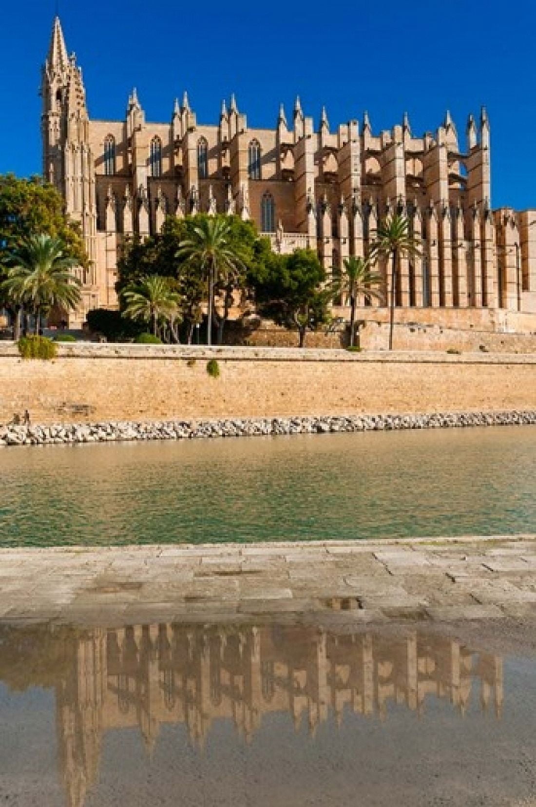 Cathedral of Santa Maria of Palma Majorca Balearic Islands Spain Canvas Art - Nico Tondini DanitaDelimont (11 x 17)