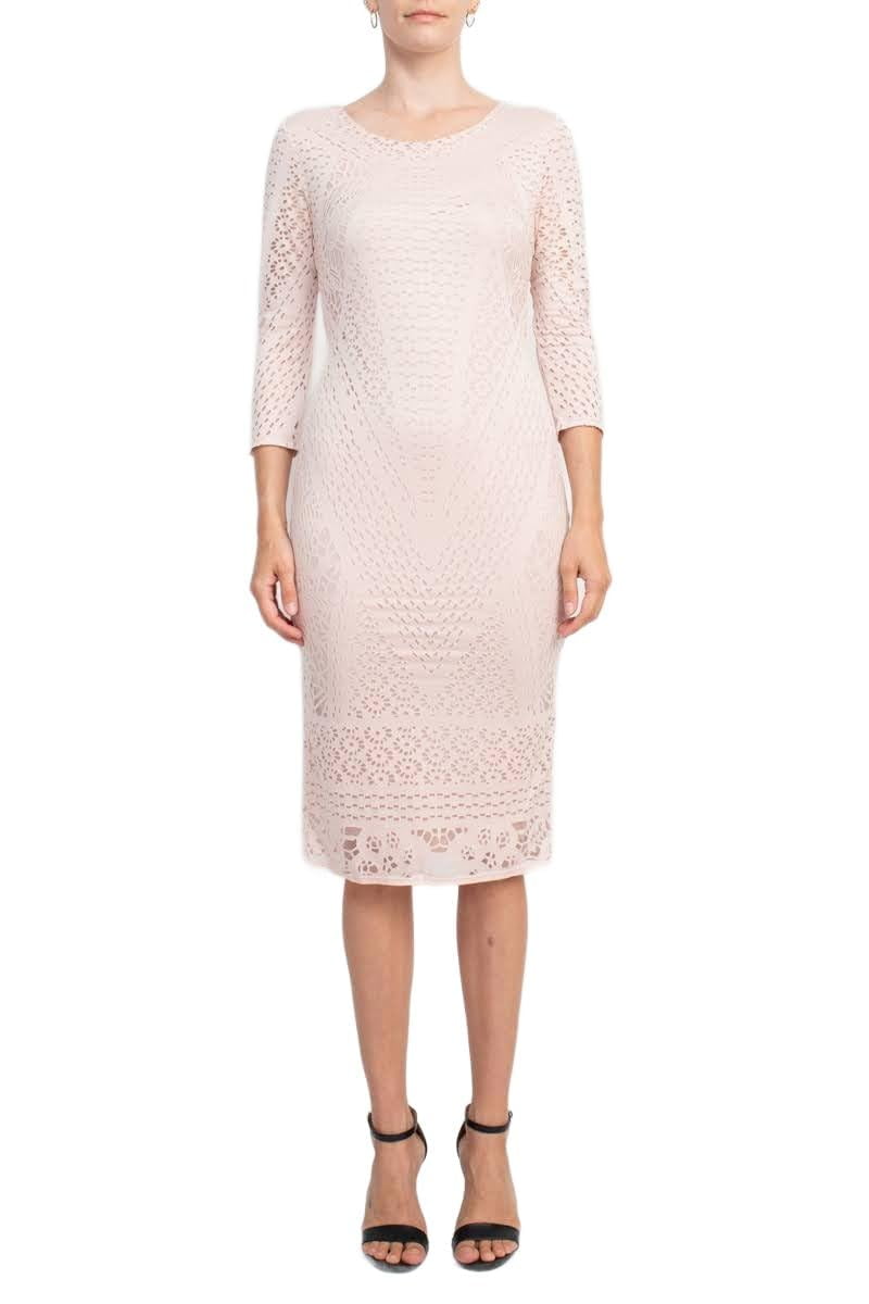 Catherine Malandrino Scoop Neck 3-4 Sleeve Bodycon Burnout Dress-BLUSH / L  - Walmart.com