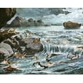 thumbnail image 1 of Catholic print picture - The Great Flood 2T - 8" x 10" ready to be framed, 1 of 1