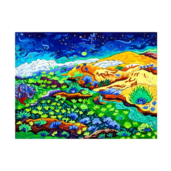 Cathy Carey 'Western Starlight' Canvas Art