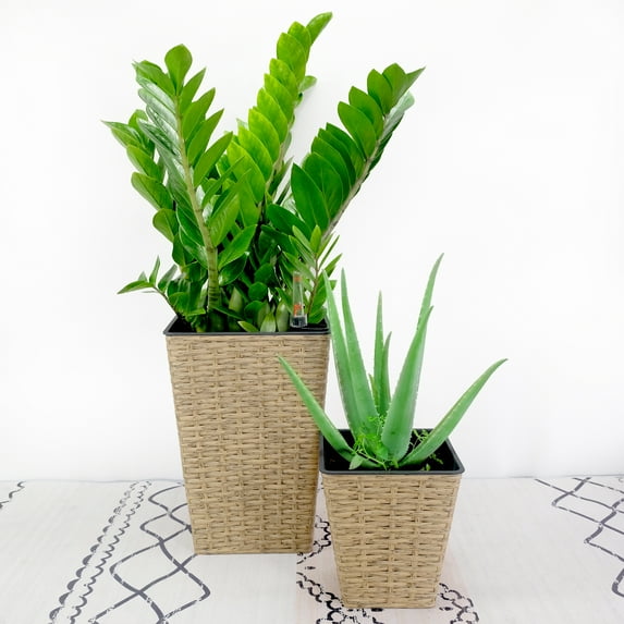 Catleza Wicker Self-Watering Square Planter 9.4"L x 9.4"W in Brown (2-Pc)