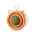 catmint-rnd-globe-interactive-cat-toys-360-rotating-with-storage-lid