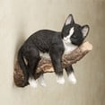 thumbnail image 1 of Catnap Cat Resting on Branch Wall Accent Black, 8” x 10.5” x 4.5”, 1 of 1
