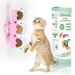 Jumbo Sparkle Ball Tuff Kitty Puff Cat Toy - (2 inch) 6 Pak  Pick A Color (White) : Pet Supplies