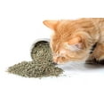 thumbnail image 1 of Catnip, Dried Herb, 1 oz (28 g), 1 of 1