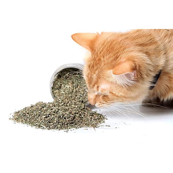 Catnip, Dried Herb, 1 oz (28 g)