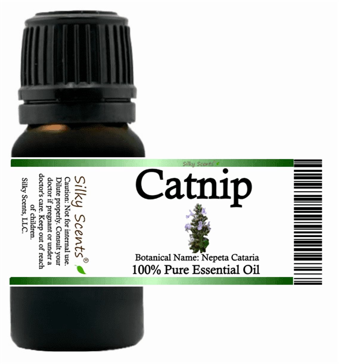 Catnip Essential Oil 5 ml (1/6 fl oz) - 100% Pure and Natural by Silky Scents