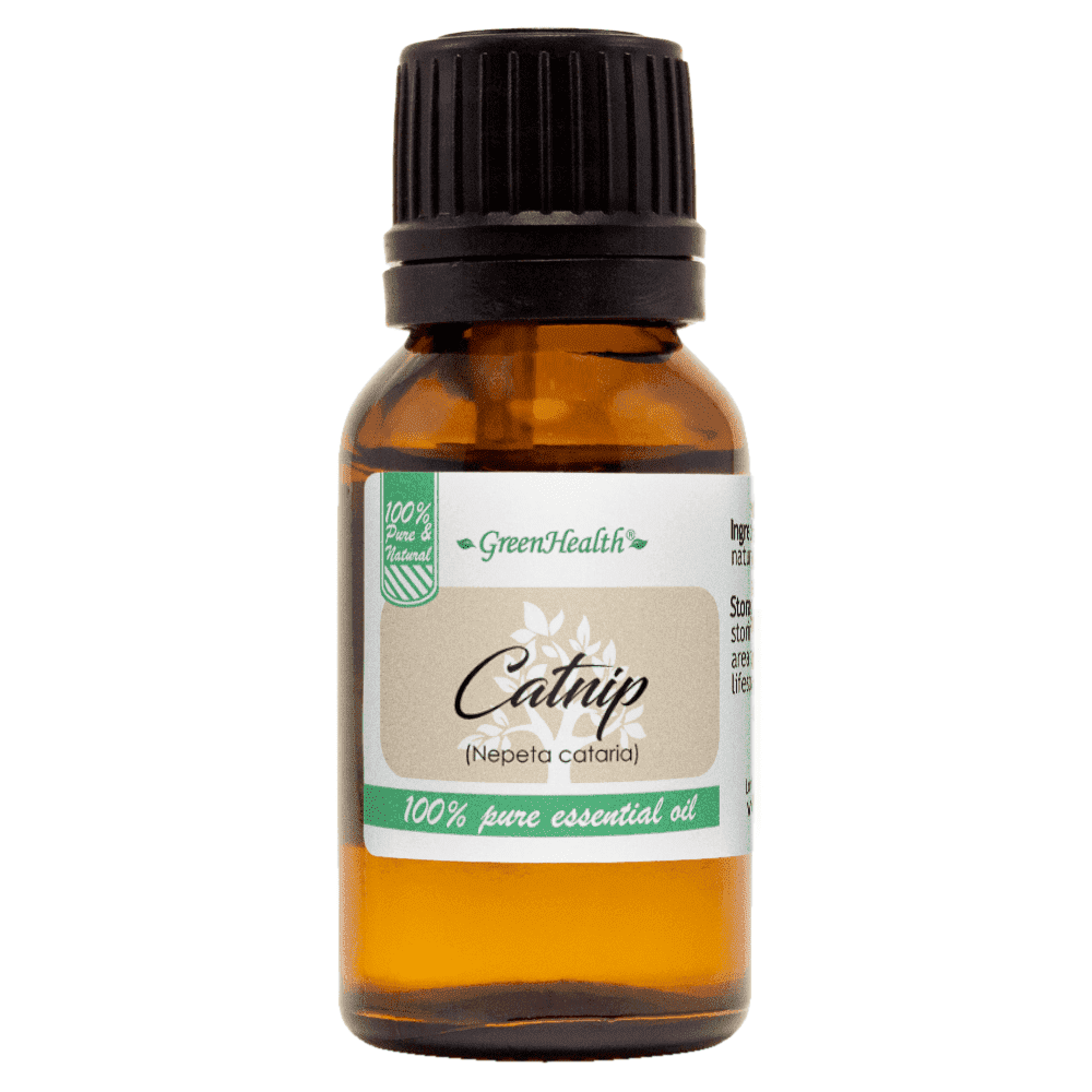GreenHealth Catnip Essential Oil – 15 ml | Amber Glass Euro Dropper | For Aromatherapy, DIY Potpourri, Herbal Sachets & Home Fragrance Blends