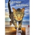 thumbnail image 1 of Catnip Nation (DVD), 1 of 2