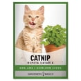 thumbnail image 1 of Catnip Seeds, 1 of 6